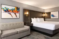 Verta Hotel McAllen - bar