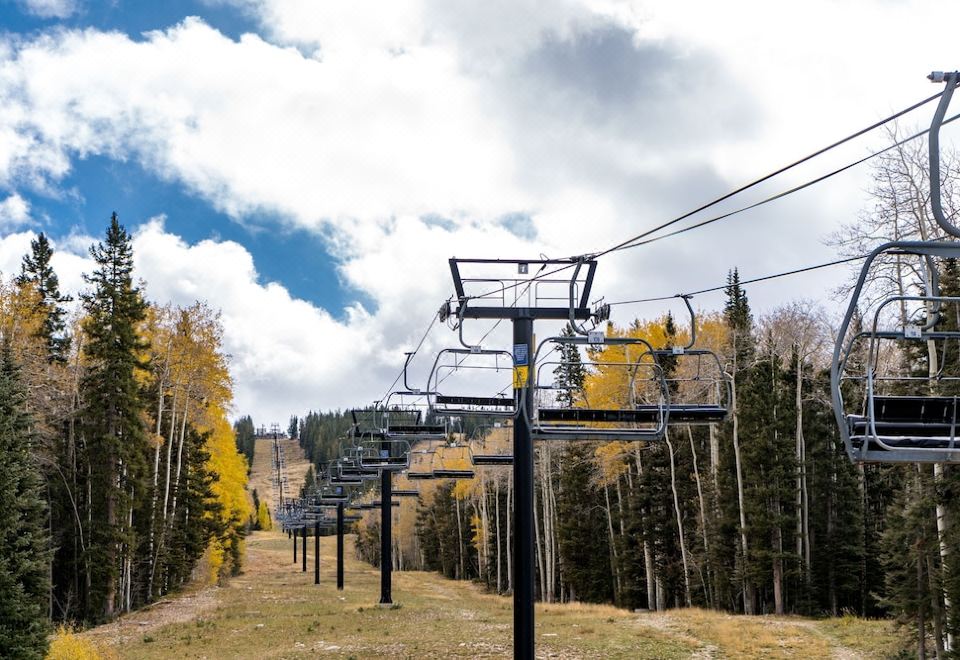 Burro Garden Over view