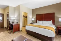 Comfort Suites Hotels in Oak Grove