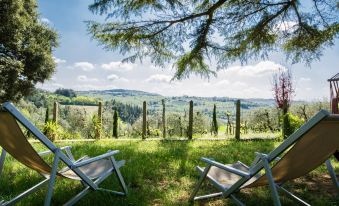 A Path of Relaxation and History Between Vineyards and Olive Trees - 6 Pax