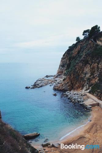 Other Mana Mana Youth Hostel Photo