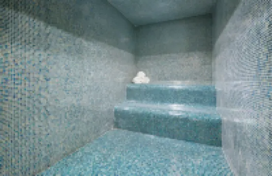 Holiday Inn Brooklyn Downtown Hotels in New York