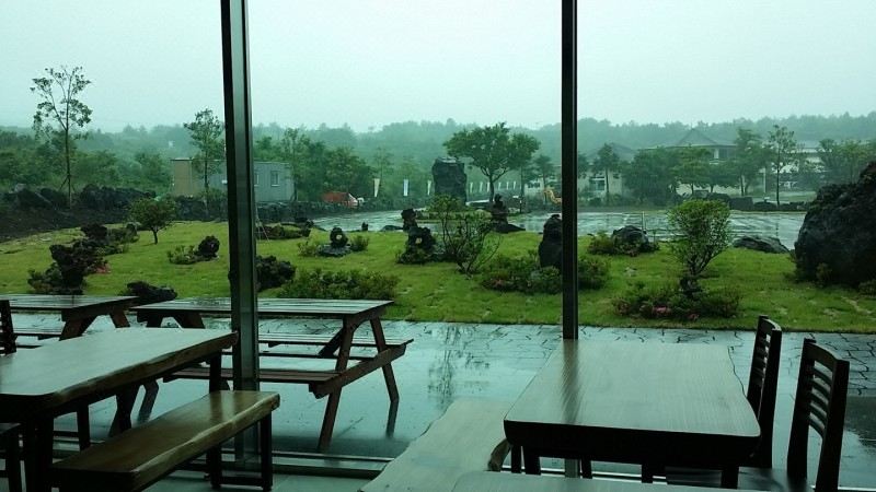 고파크 객실 내부