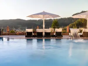 Popular Premium Hotels in Ortenaukreis