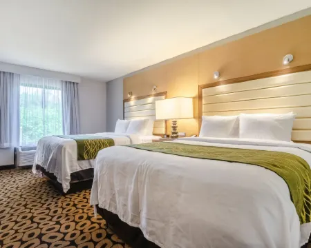 คอมฟอร์ตอินน์ ราเลห์ มิดทาวน์ โรงแรมในราเลห์