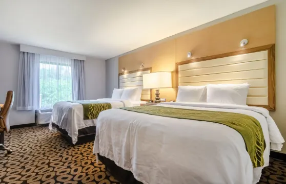 羅利城區舒適酒店