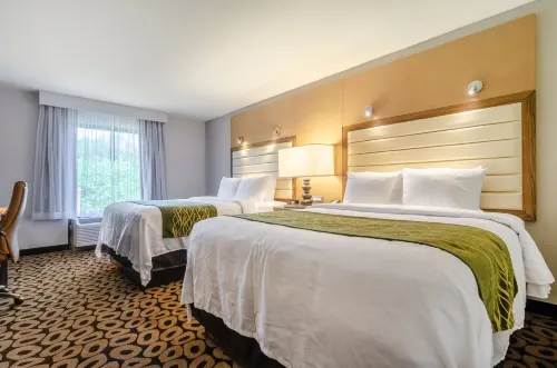 Comfort Inn Raleigh Midtown