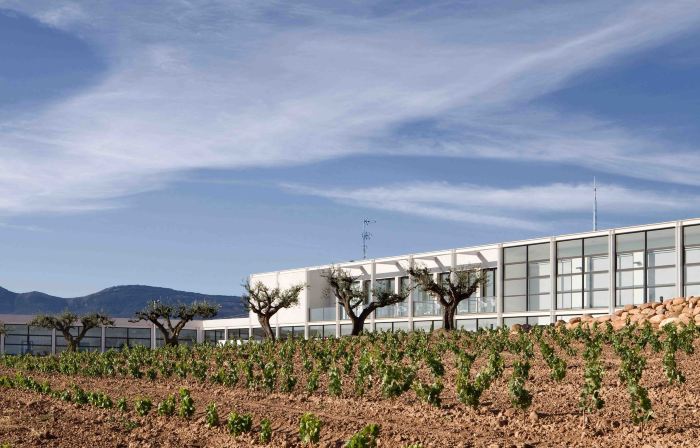 Finca de los Arandinos Bodega | Hotel