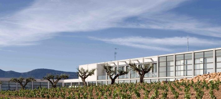 Hotel-Bodega Finca de Los Arandinos Hotele w: Comarca de Logrono