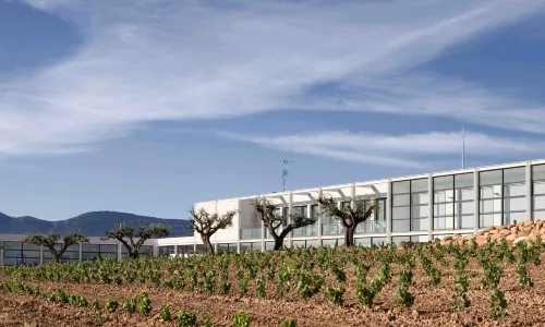 Hotel-Bodega Finca de Los Arandinos