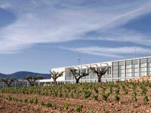 Hotel-Bodega Finca de Los Arandinos