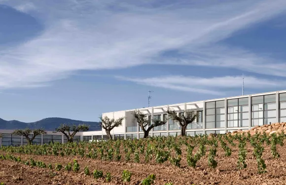 博德加芬卡洛斯阿迪諾斯酒店