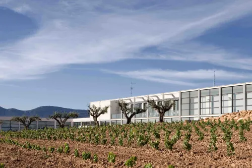 Hotel-Bodega Finca de Los Arandinos - Pet friendly