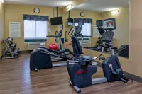 Holiday Inn Express & Suites WOODBRIDGE by IHG - Gym