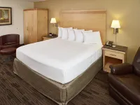Livinn Hotel St Paul East / Maplewood - Pet friendly