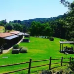 Lebbiano Residence - WiFi
