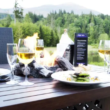 Executive Suites Hotel and Resort - Squamish BC