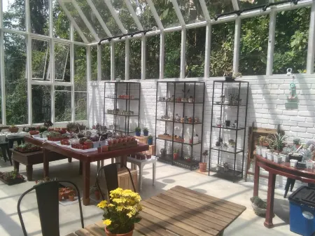 Puncak Inn Apartment