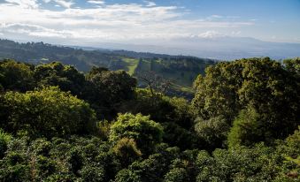 Chayote Lodge