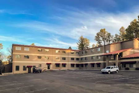 Comfort Inn & Suites Midtown Отели в г. Руидозо