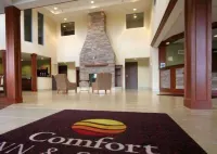 Comfort Inn & Suites Saratoga Springs Hotels in Wilton