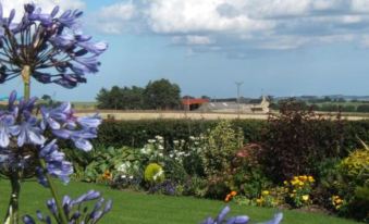 Bee Cottage Farm Guest House - Housity