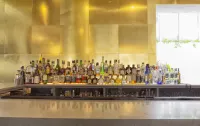 Holiday Inn BROOKLYN DOWNTOWN by IHG - bar