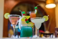 Hotel Royal Oasis - bar