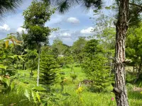 Pea Nature Hotels near Simpang 4 Sipahutar Tarutung