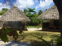Driftwood Beach Lodge Hotels in Jambiani