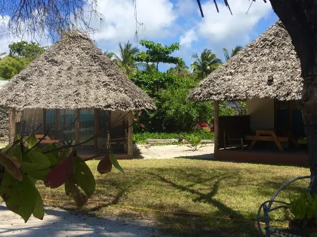 Driftwood Beach Lodge