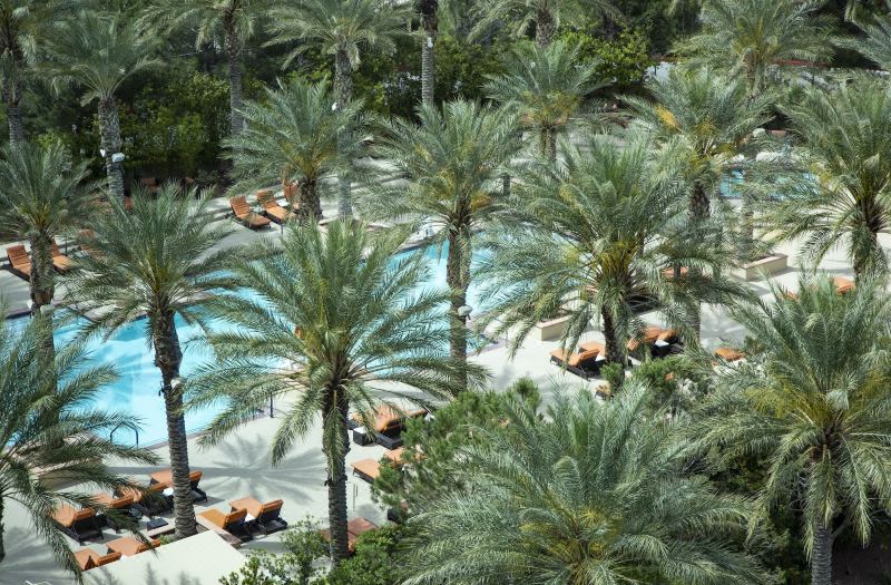 Aliante Casino & Hotel photo 5