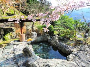 旅館 祖谷の宿 かずらや