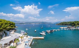 a picturesque harbor with numerous boats docked , surrounded by lush greenery and blue skies at Kalamota Beach House