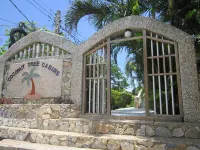 Coconut Tree West End Hotels in 