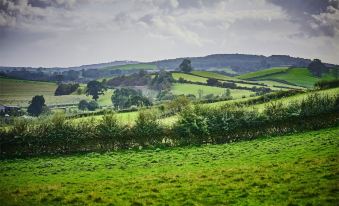 Newlands Farm Stables