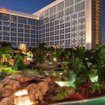 Hilton Orlando Hotel Exterior