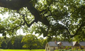 Ecolodges de Loire & Spa