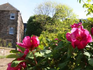 Cadell House Apt - Royal Mile