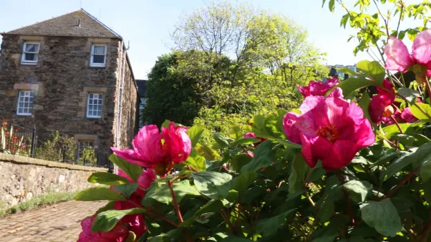 Cadell House Apt - Royal Mile Hotels near Holyrood Abbey