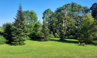 Les Tuileries du Buisson
