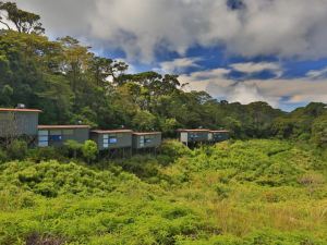 The Rainforest Ecolodge - Sinharaja