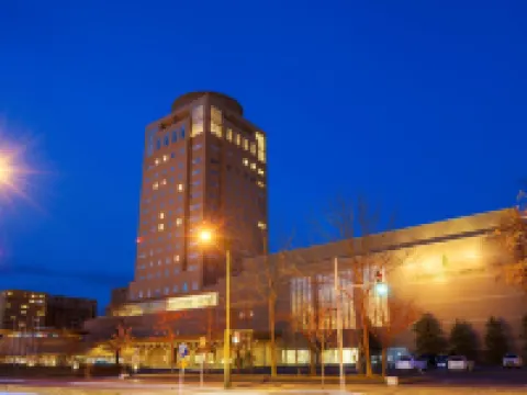 新王寺大酒店 苫小牧市酒店