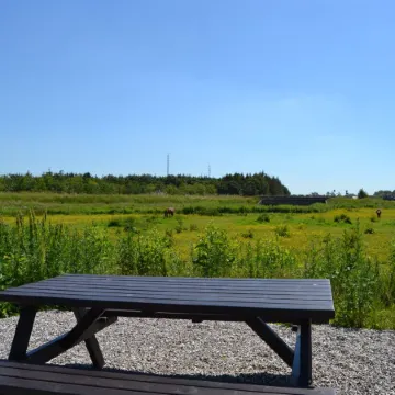 "Herman" - 22km from the Sea