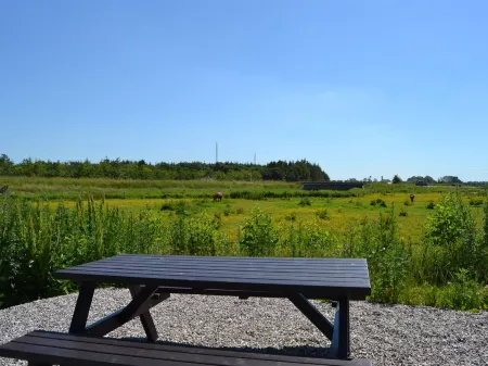 "Herman" - 22km from the Sea