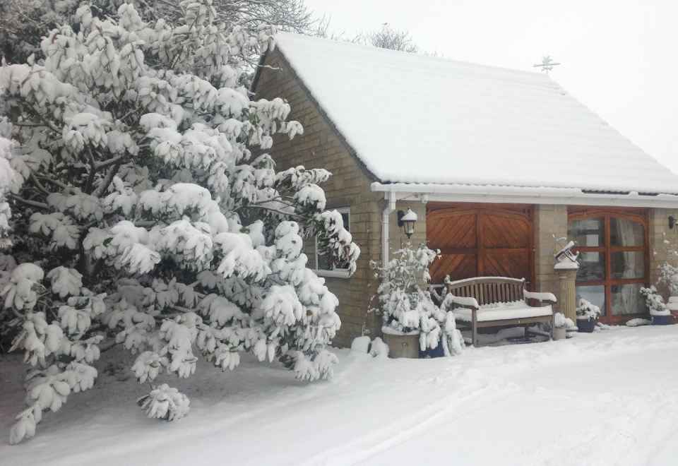 a snow - covered house with a porch and bench , surrounded by trees and covered in snow at The Studio