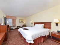 Hampton Inn Eagle Pass