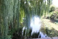 The Boat Inn Hayton Hotels in Bassetlaw District