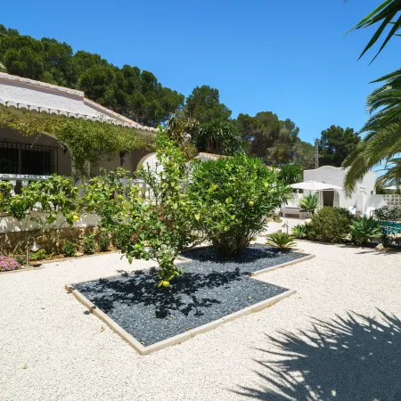 El Palmeral