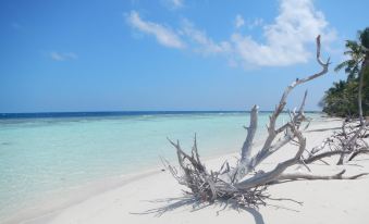 Omadhoo Coral View Inn